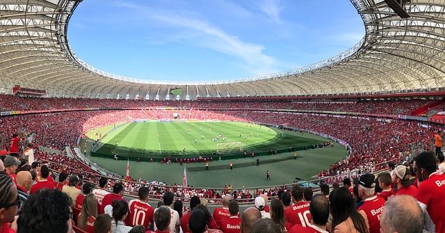 域內展現出