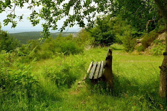 的主动进攻 的主动进攻