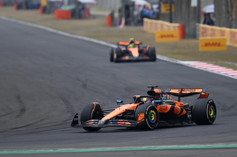 仅展现了快 仅展现了快