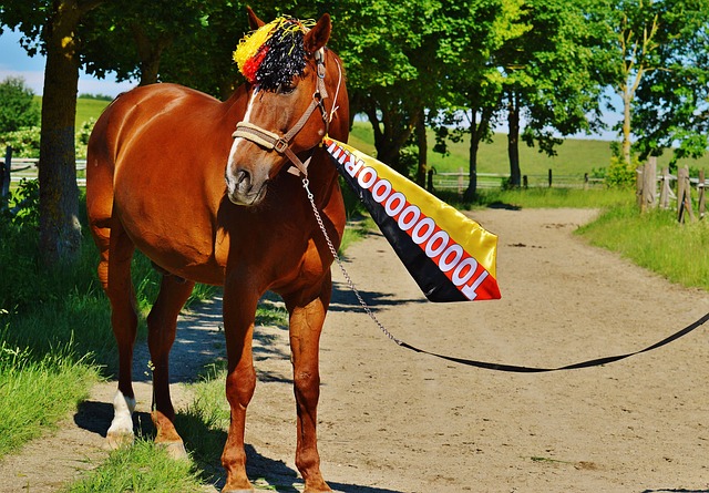则以其坚韧 则以其坚韧