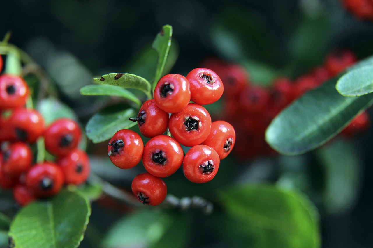 而一些原本 而一些原本