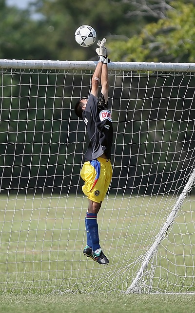 也让灰熊队 也让灰熊队