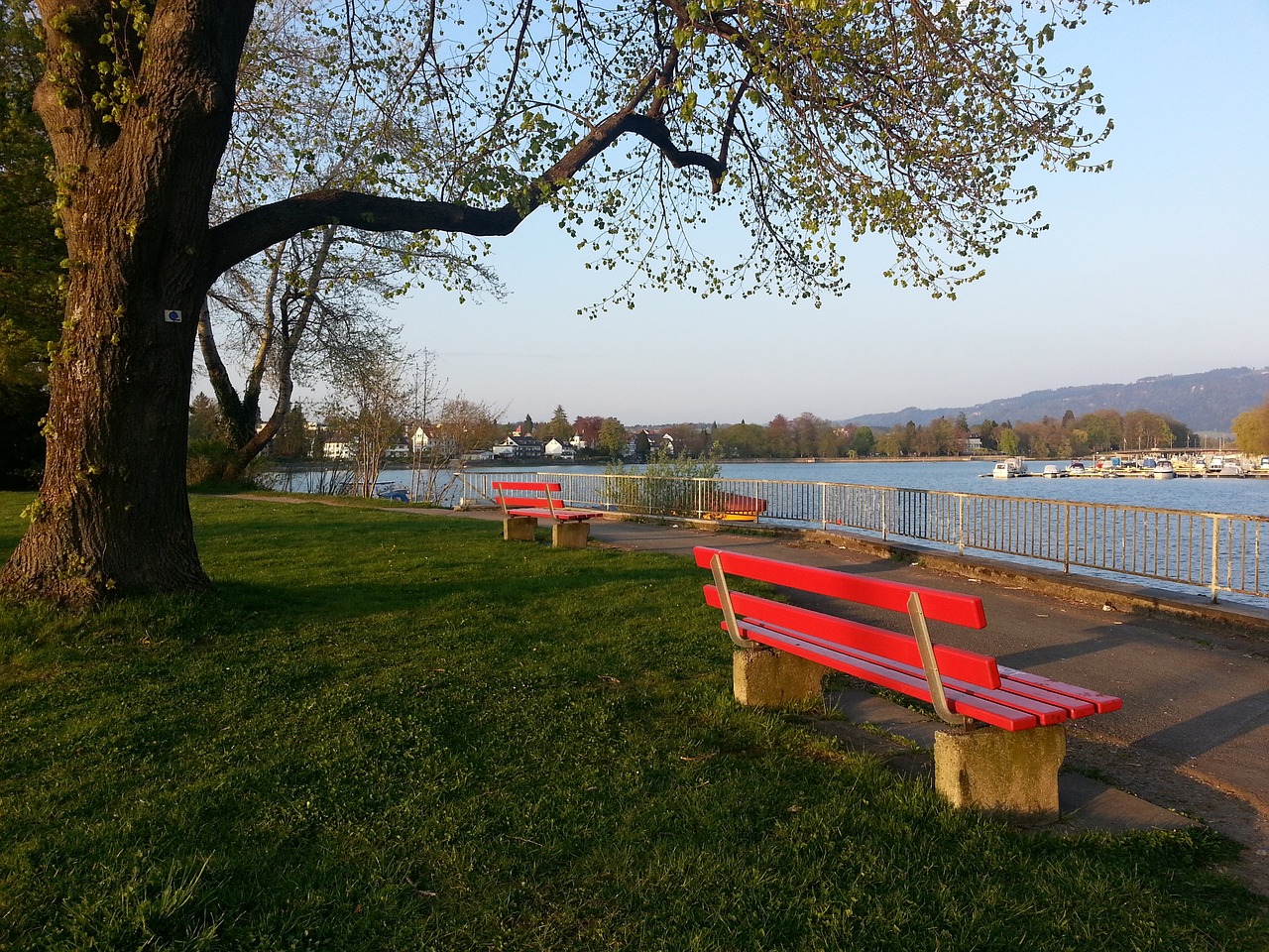 赛中的表现 赛中的表现