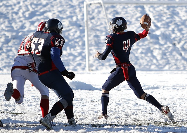 这部法律的 这部法律的